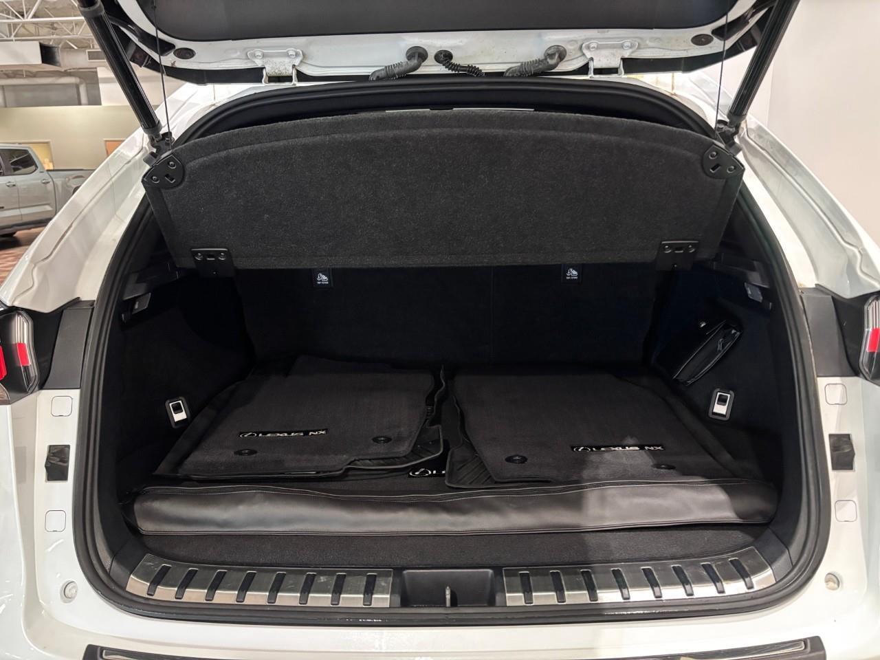 2017 Lexus NX 200t F-SPORT 2 PACKAGE Photo