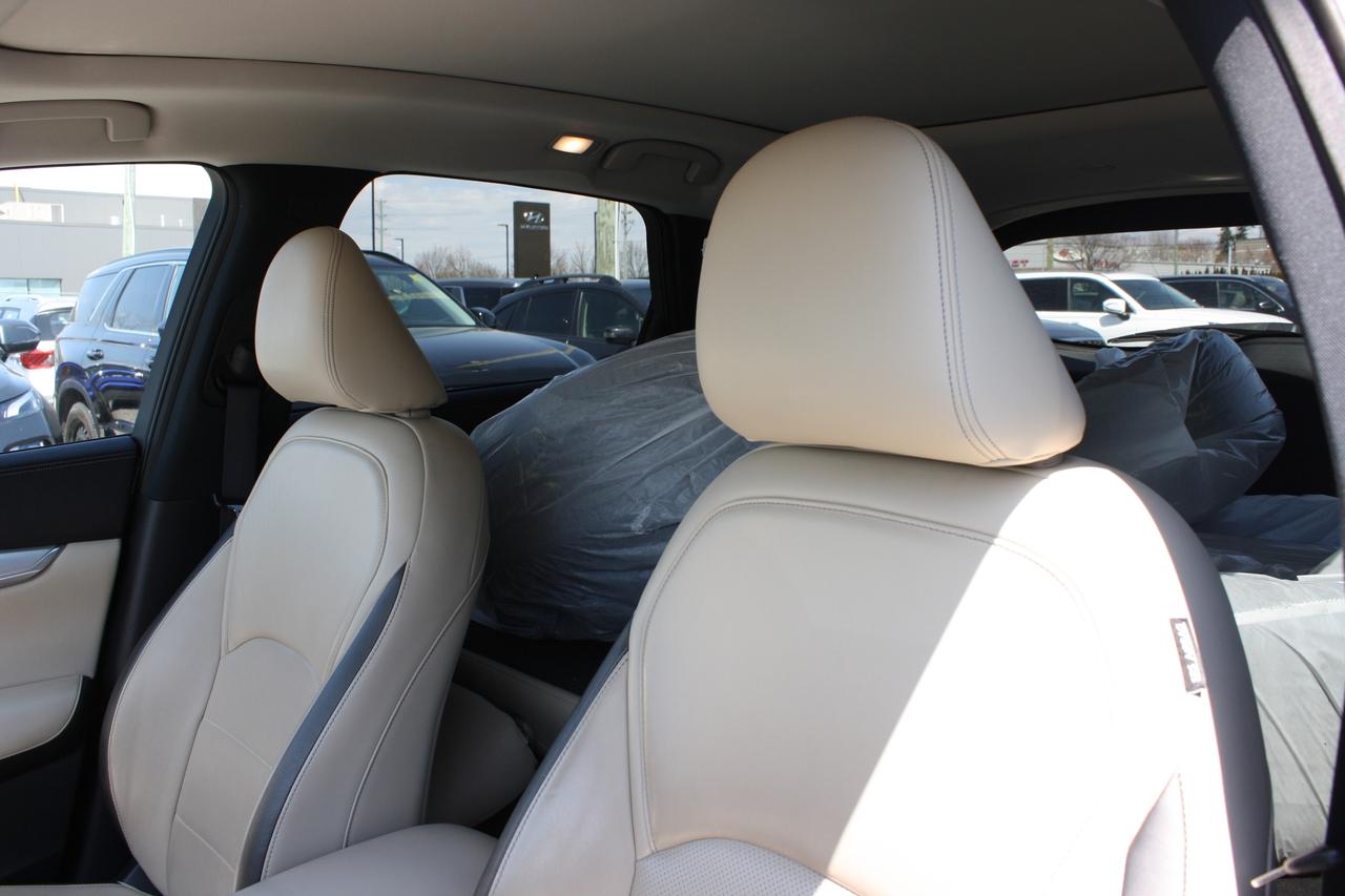 2019 Infiniti QX50 Essential Awd Photo