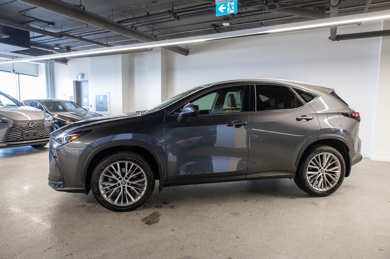 2024 Lexus NX Luxury Pkg Safety Certified Welcome Trades Photo2