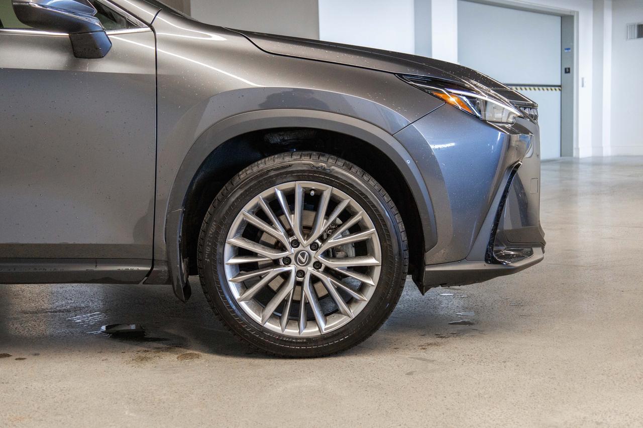 2024 Lexus NX Luxury Pkg Safety Certified Welcome Trades Photo