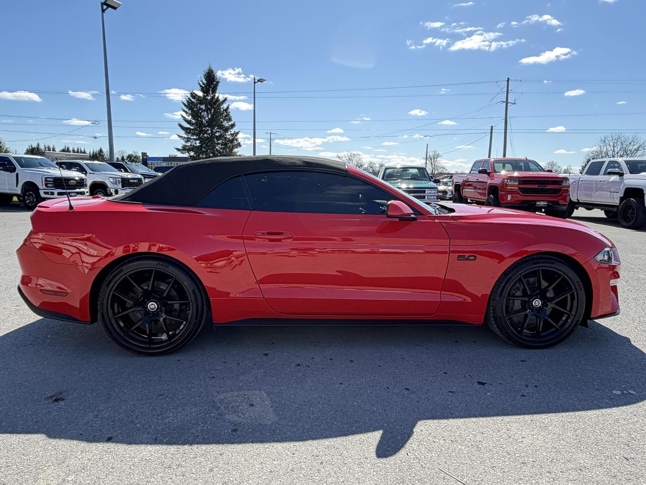 2022 Ford Mustang GT Premium Convertible Photo