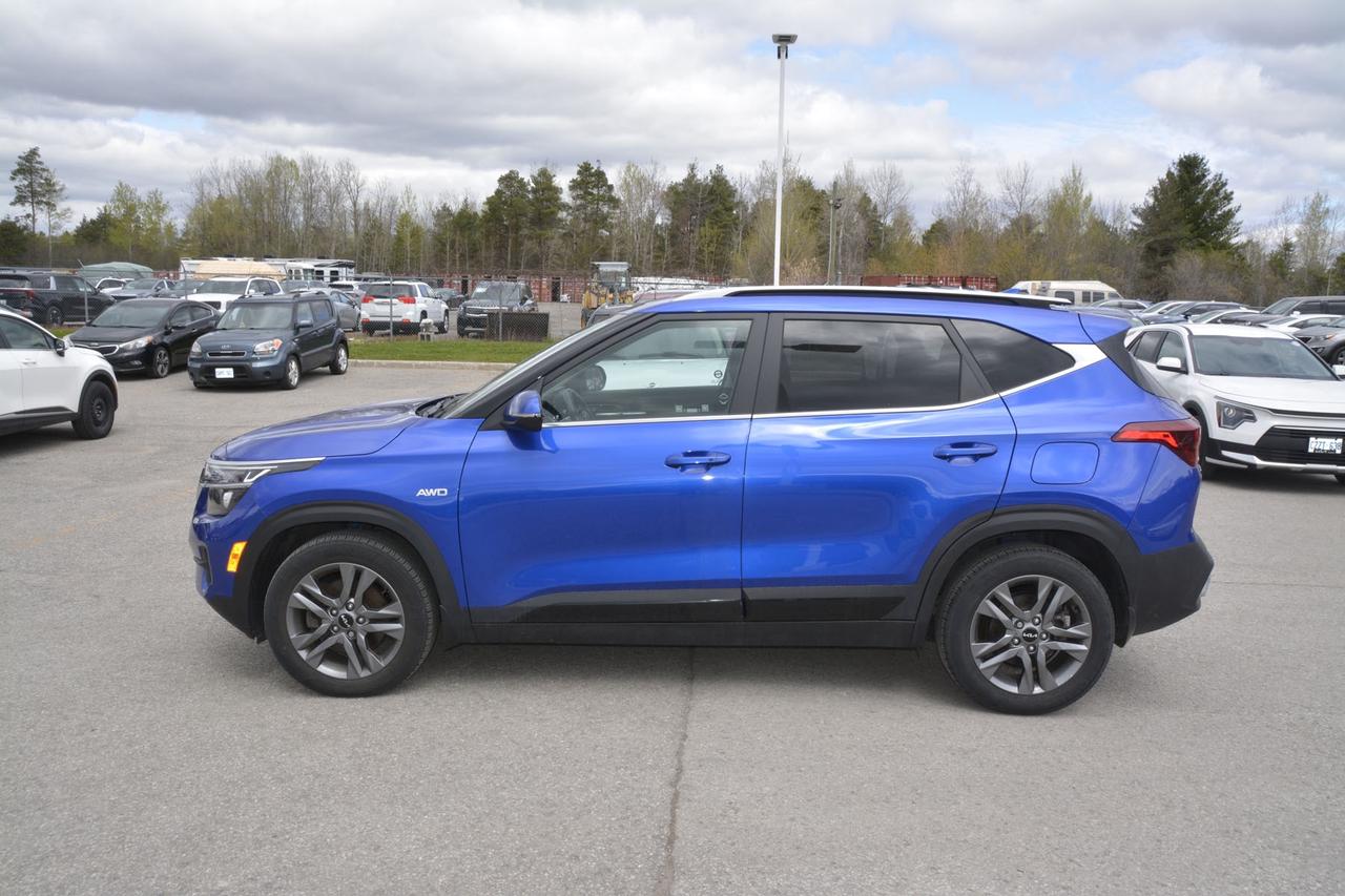 2023 Kia Seltos EX Photo