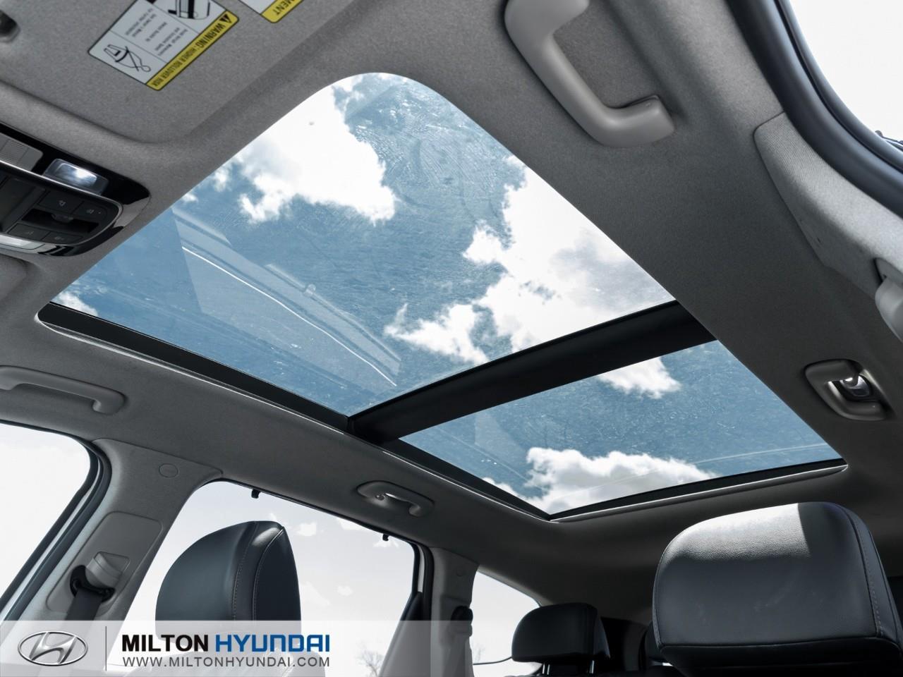 2022 Hyundai Santa Fe HEV Luxury 4dr All-Wheel Drive Photo