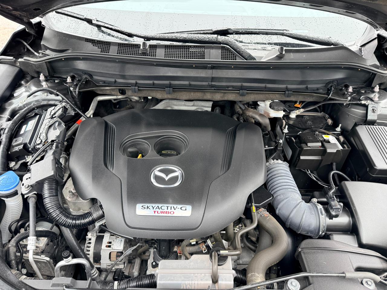 2024 Mazda CX-5 Signature 4dr i-ACTIV All-Wheel Drive Sport Utility Photo