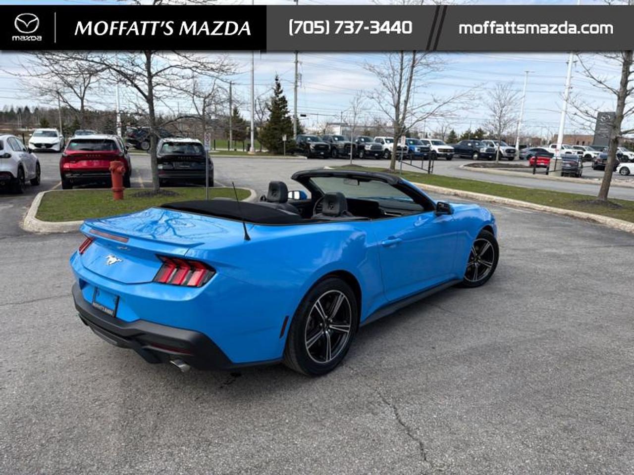 2025 Ford Mustang EcoBoost Photo