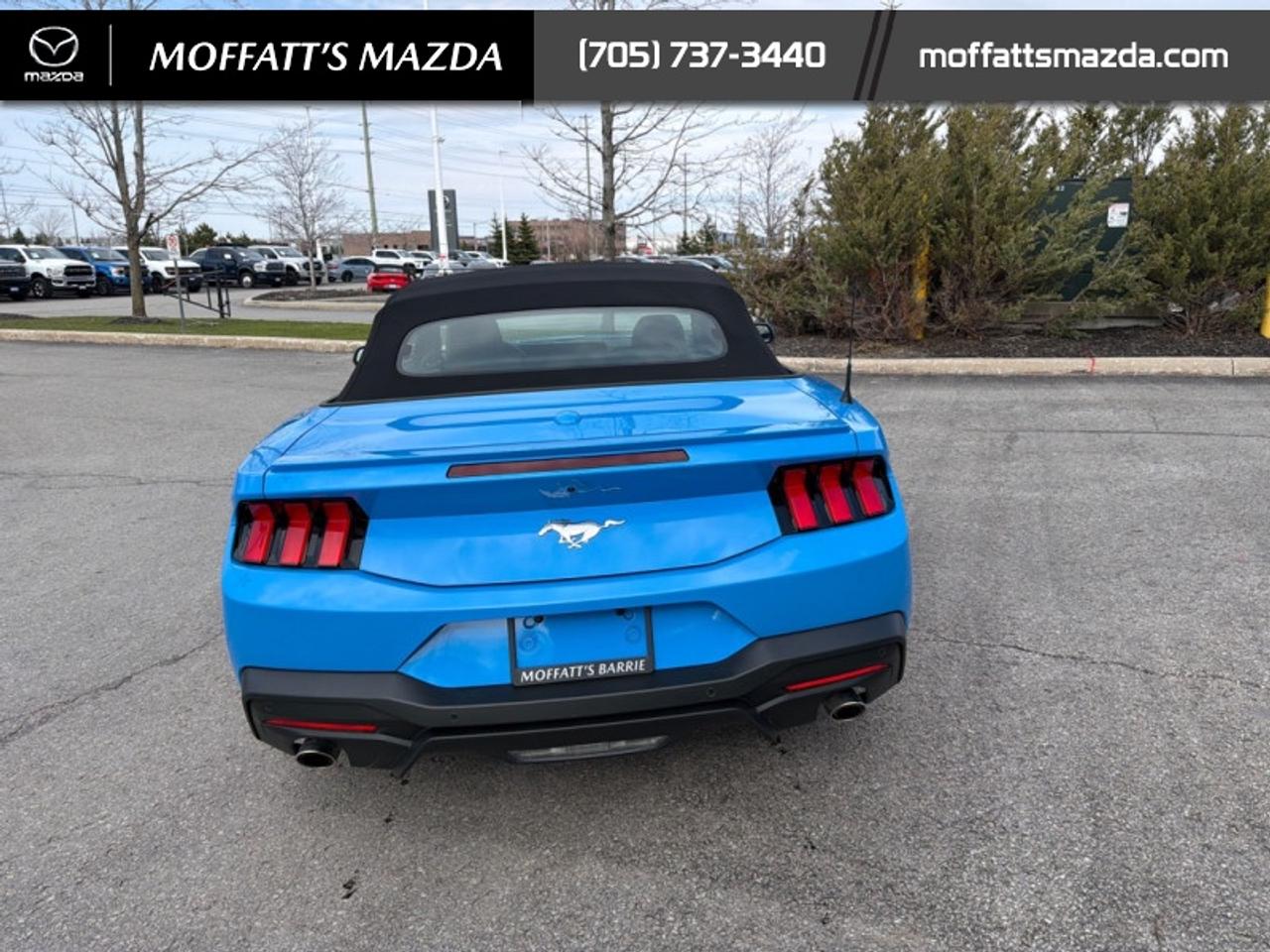 2025 Ford Mustang EcoBoost Photo