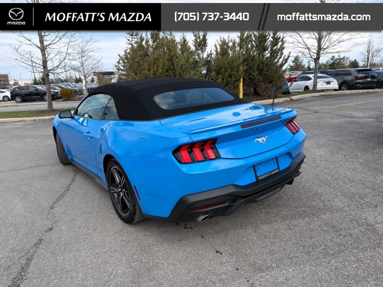 2025 Ford Mustang EcoBoost Photo