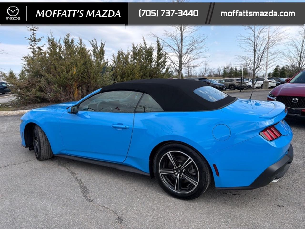 2025 Ford Mustang EcoBoost Photo2