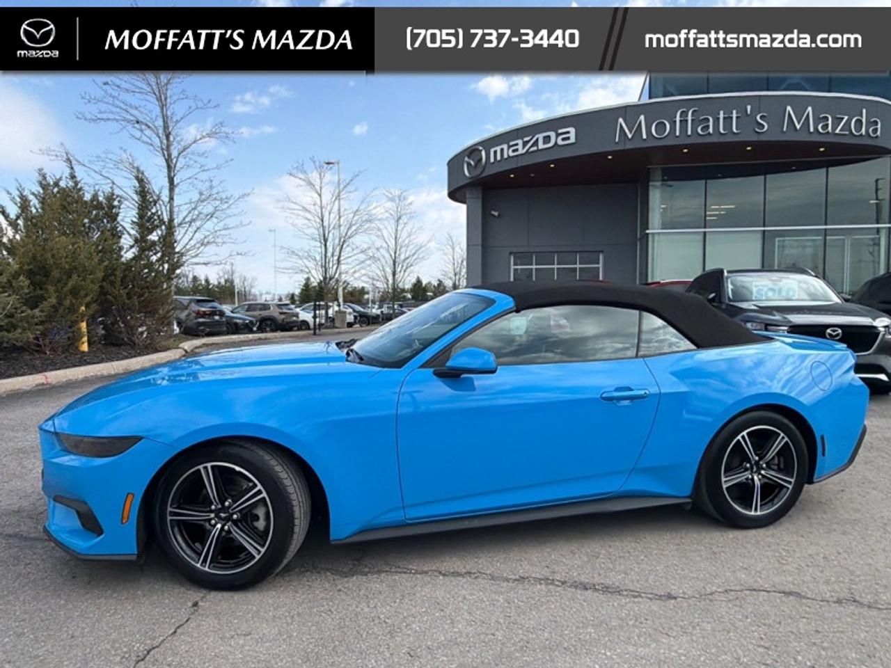 2025 Ford Mustang EcoBoost Photo