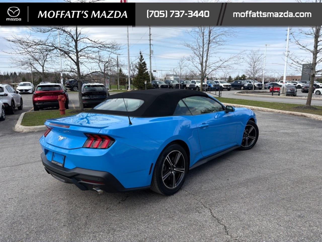2025 Ford Mustang EcoBoost Photo