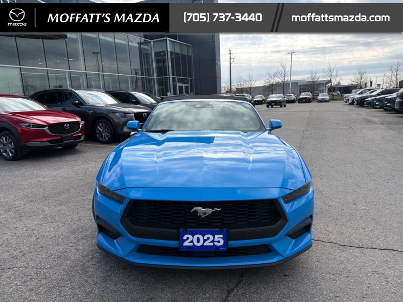 2025 Ford Mustang EcoBoost Photo