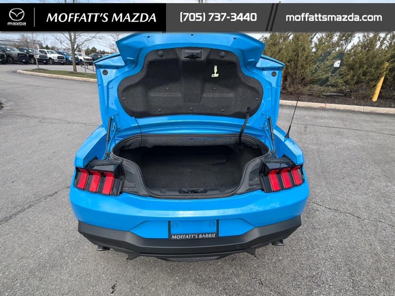 2025 Ford Mustang EcoBoost Photo