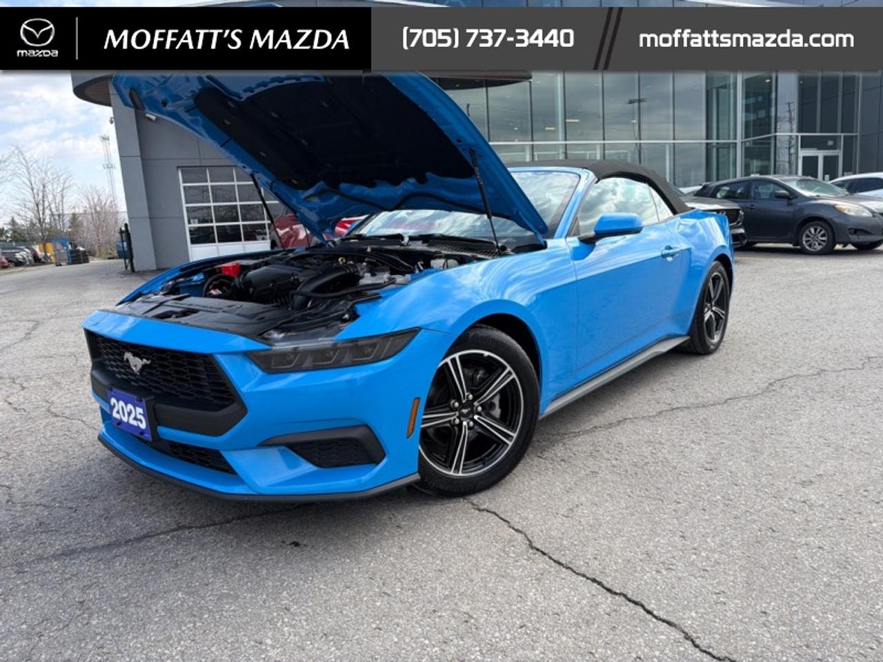2025 Ford Mustang EcoBoost Photo