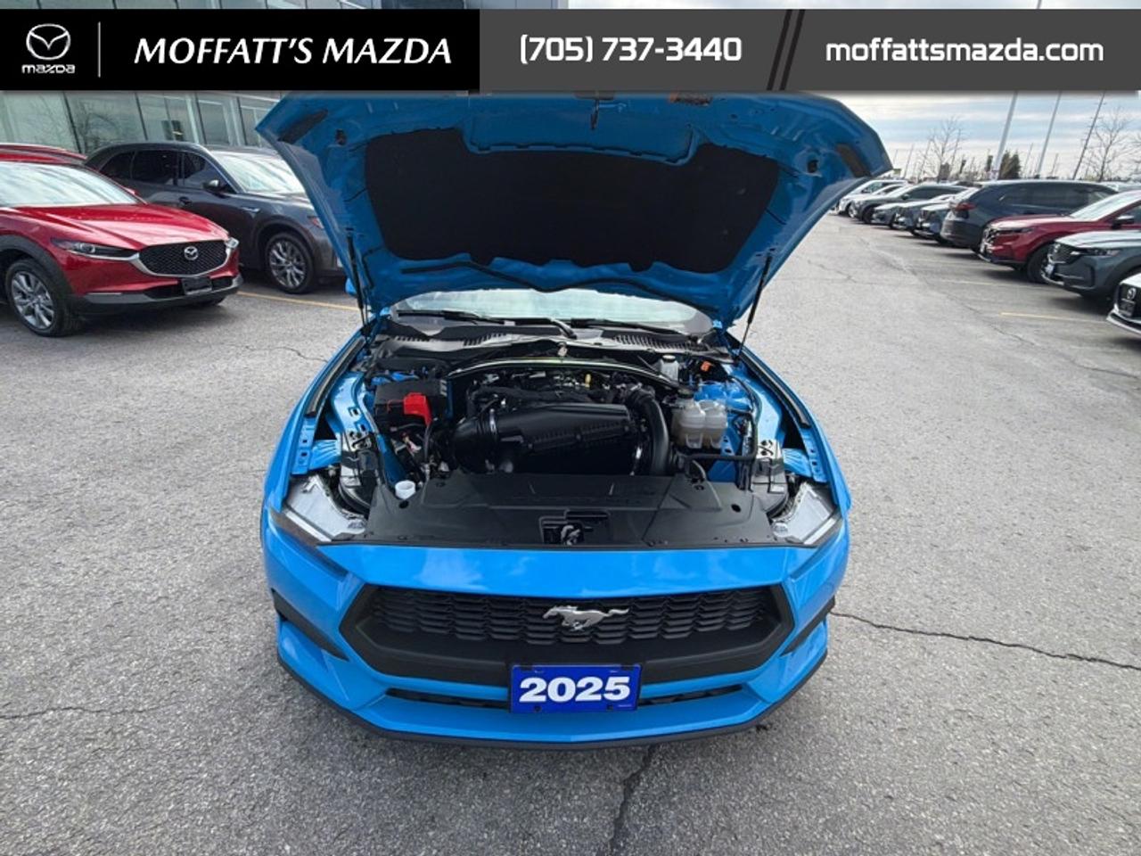 2025 Ford Mustang EcoBoost Photo