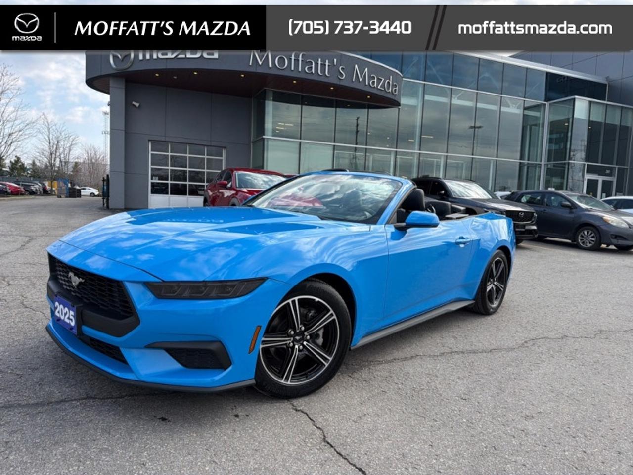 2025 Ford Mustang EcoBoost Photo