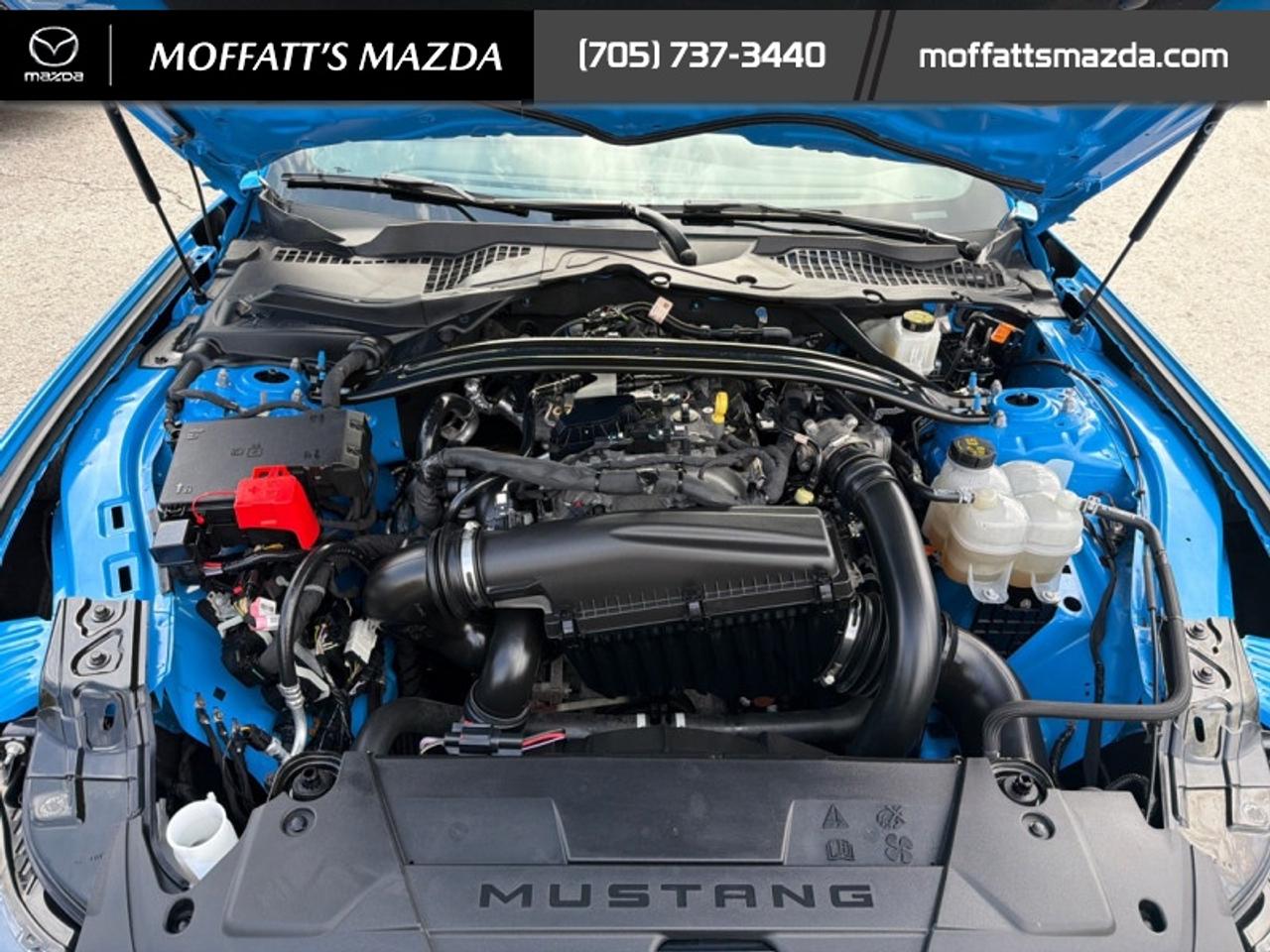 2025 Ford Mustang EcoBoost Photo