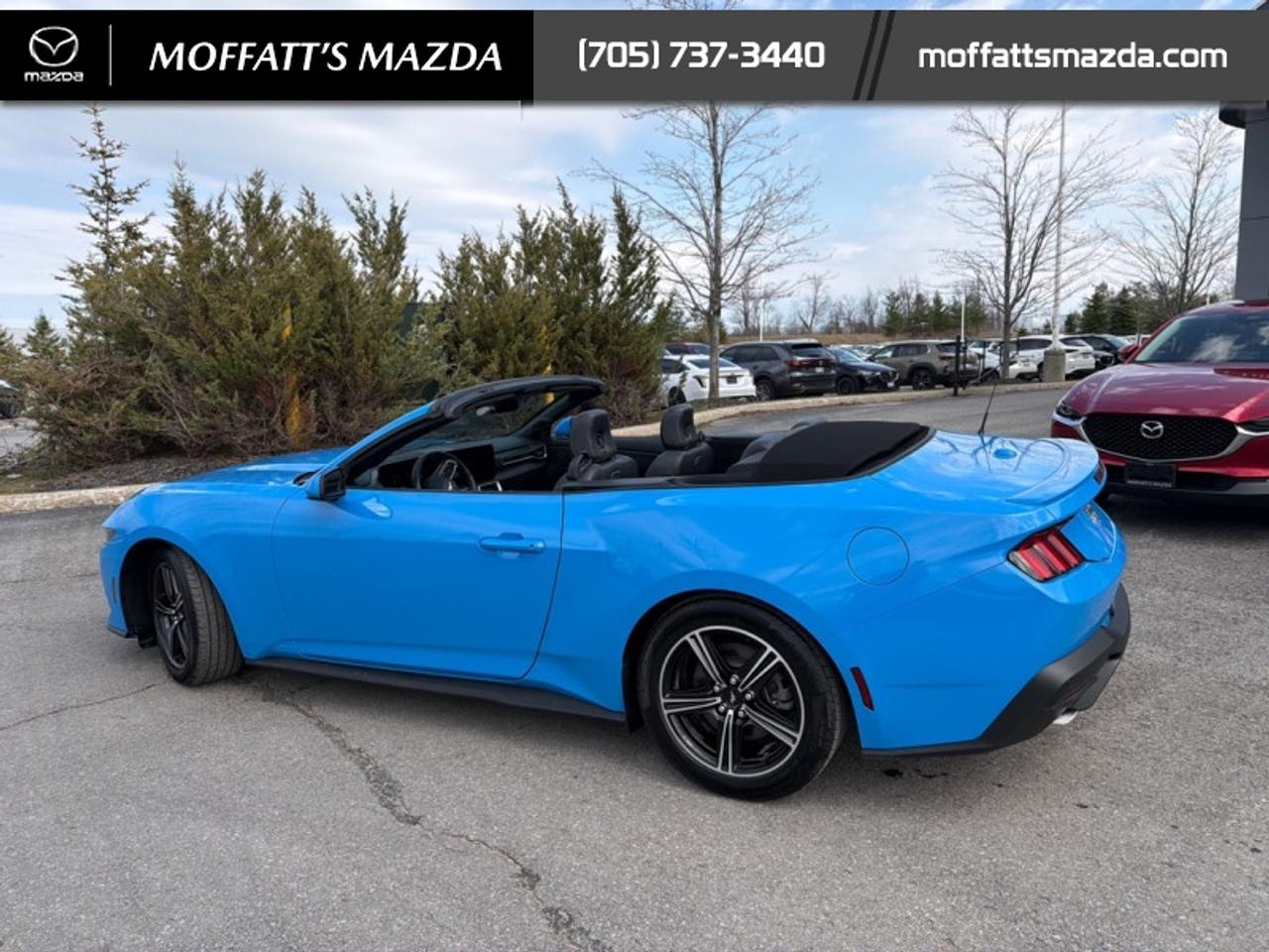 2025 Ford Mustang EcoBoost Photo