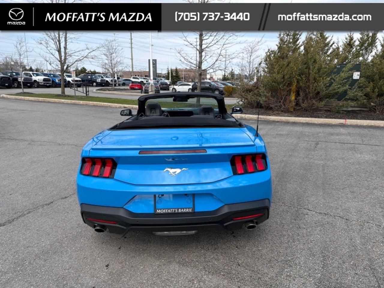 2025 Ford Mustang EcoBoost Photo
