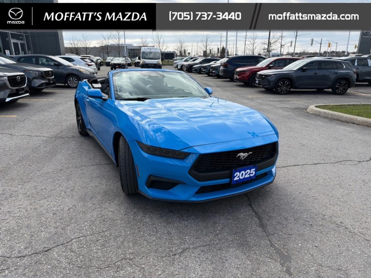 2025 Ford Mustang EcoBoost Photo