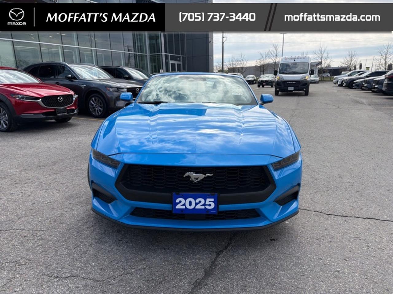 2025 Ford Mustang EcoBoost Photo