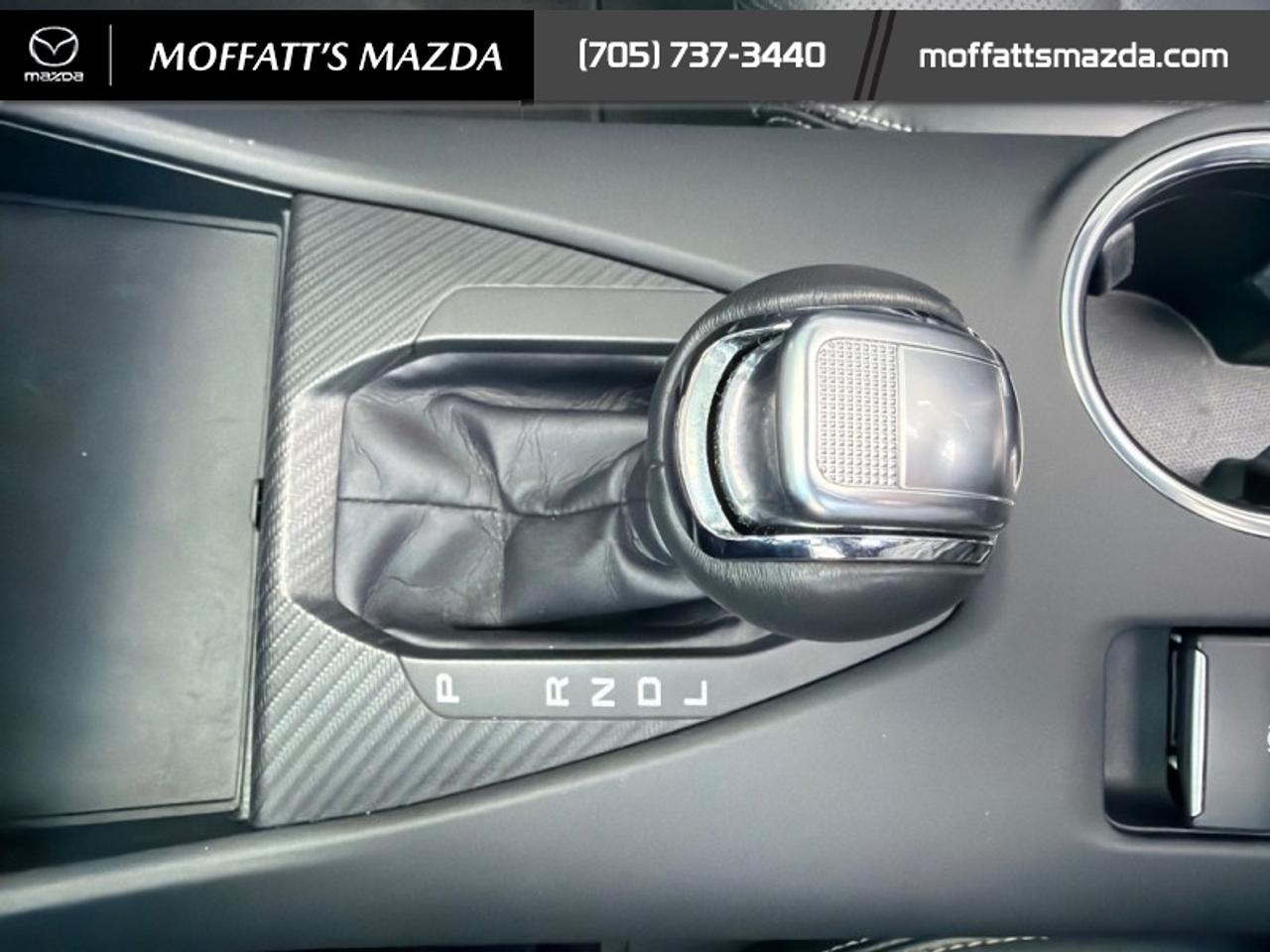2025 Ford Mustang EcoBoost Photo