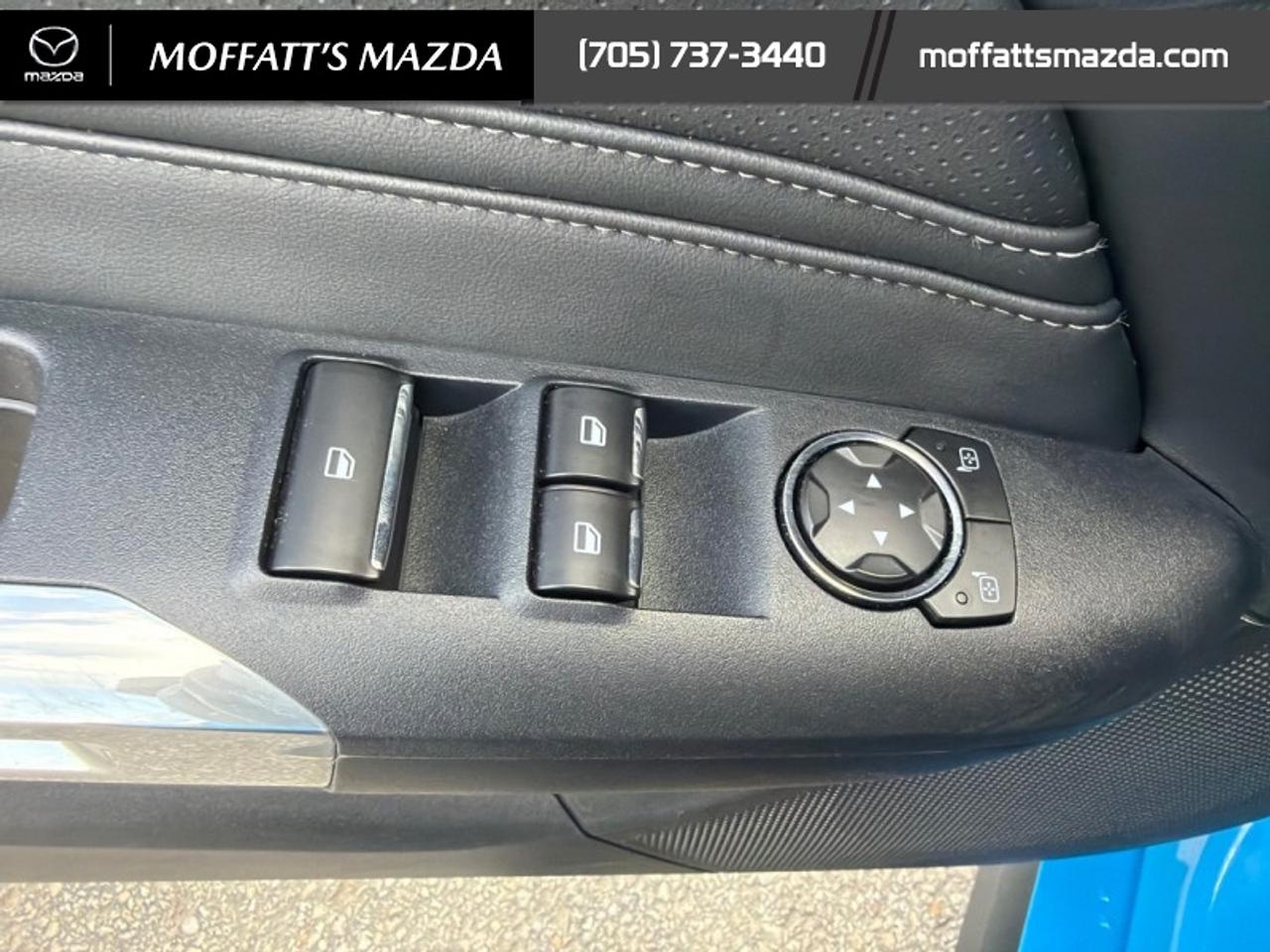 2025 Ford Mustang EcoBoost Photo