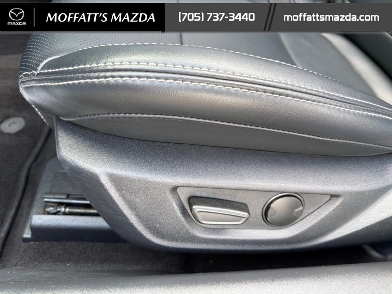 2025 Ford Mustang EcoBoost Photo