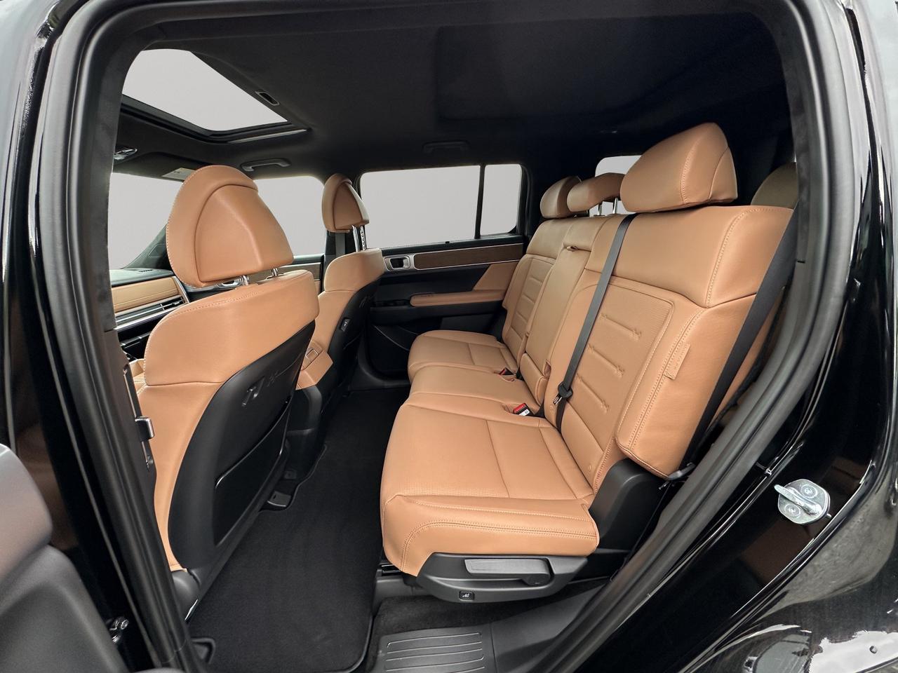 2026 Hyundai Santa Fe Hybrid Luxury Photo