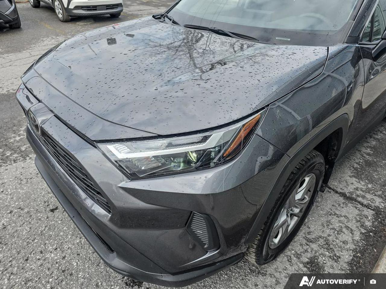 2025 Toyota RAV4 XLE AWD | Apple Car Play | Android Auto | Photo