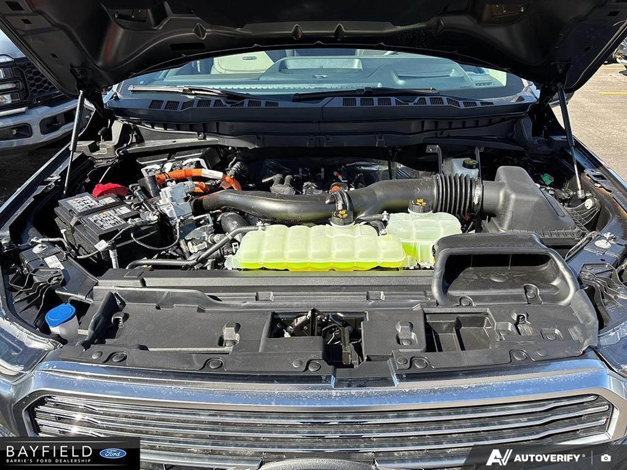 2026 Ford F-150 Platinum Photo
