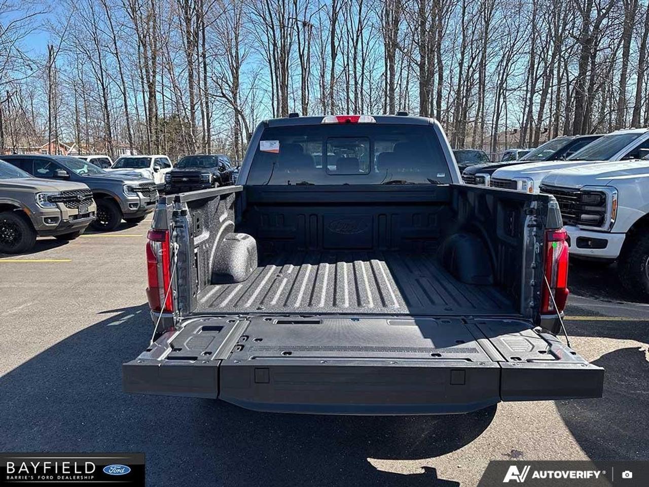 2026 Ford F-150 Platinum Photo