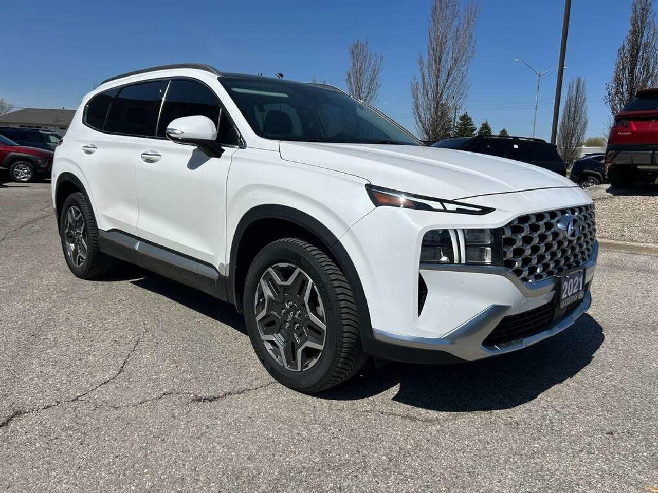 2021 Hyundai Santa Fe Hybrid Luxury Photo