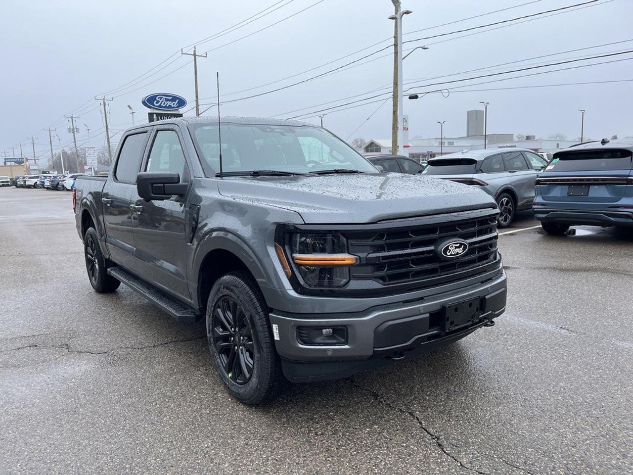 2026 Ford F-150 XLT 4WD SuperCrew 5.5' Box Photo