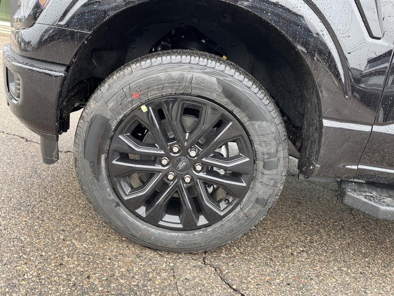 2026 Ford F-150 XLT 4WD SuperCrew 5.5' Box Photo