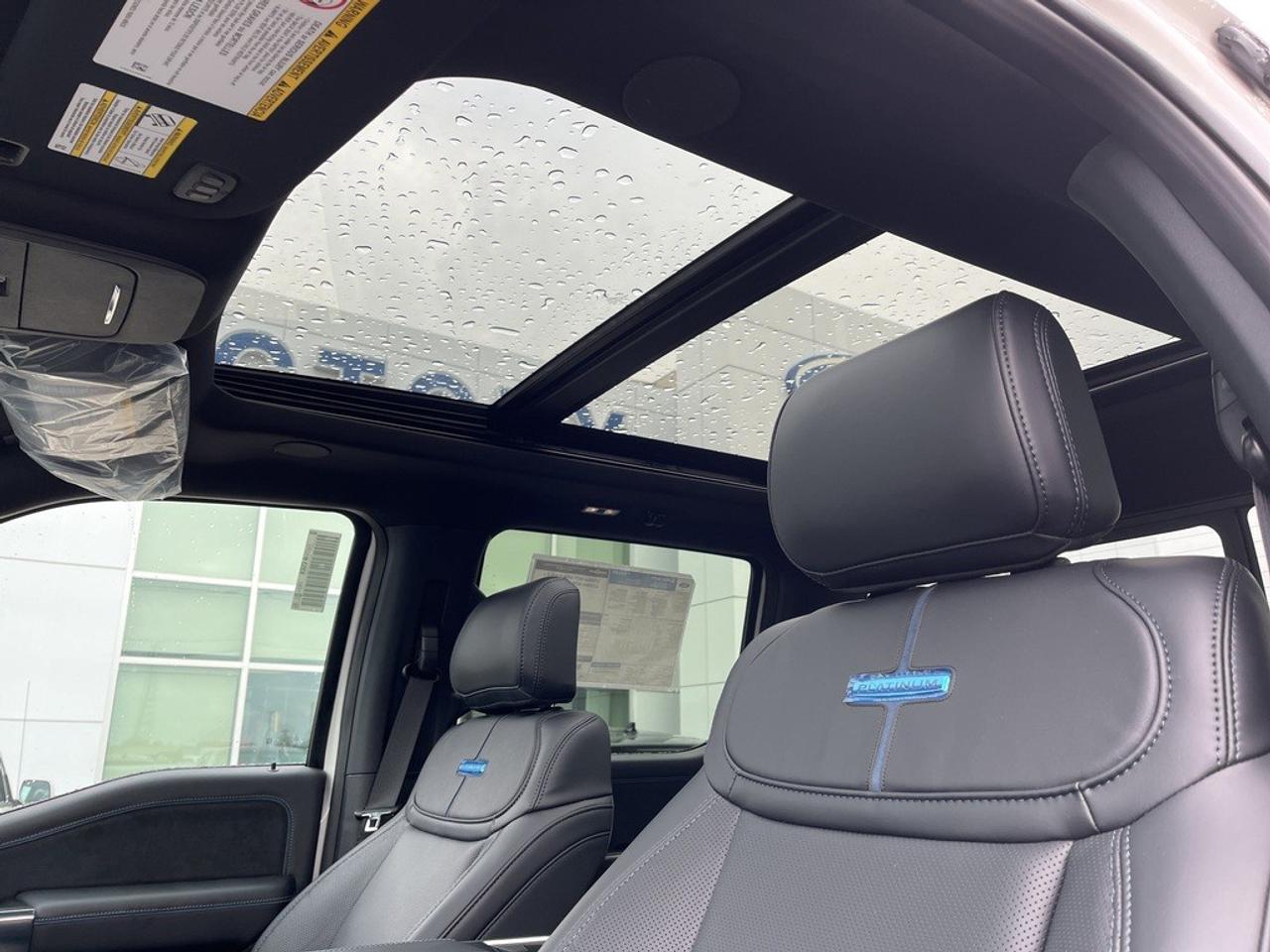 2026 Ford F-250 Super Duty SRW PLATINUM 4WD CREW CAB 6.75' BOX Photo