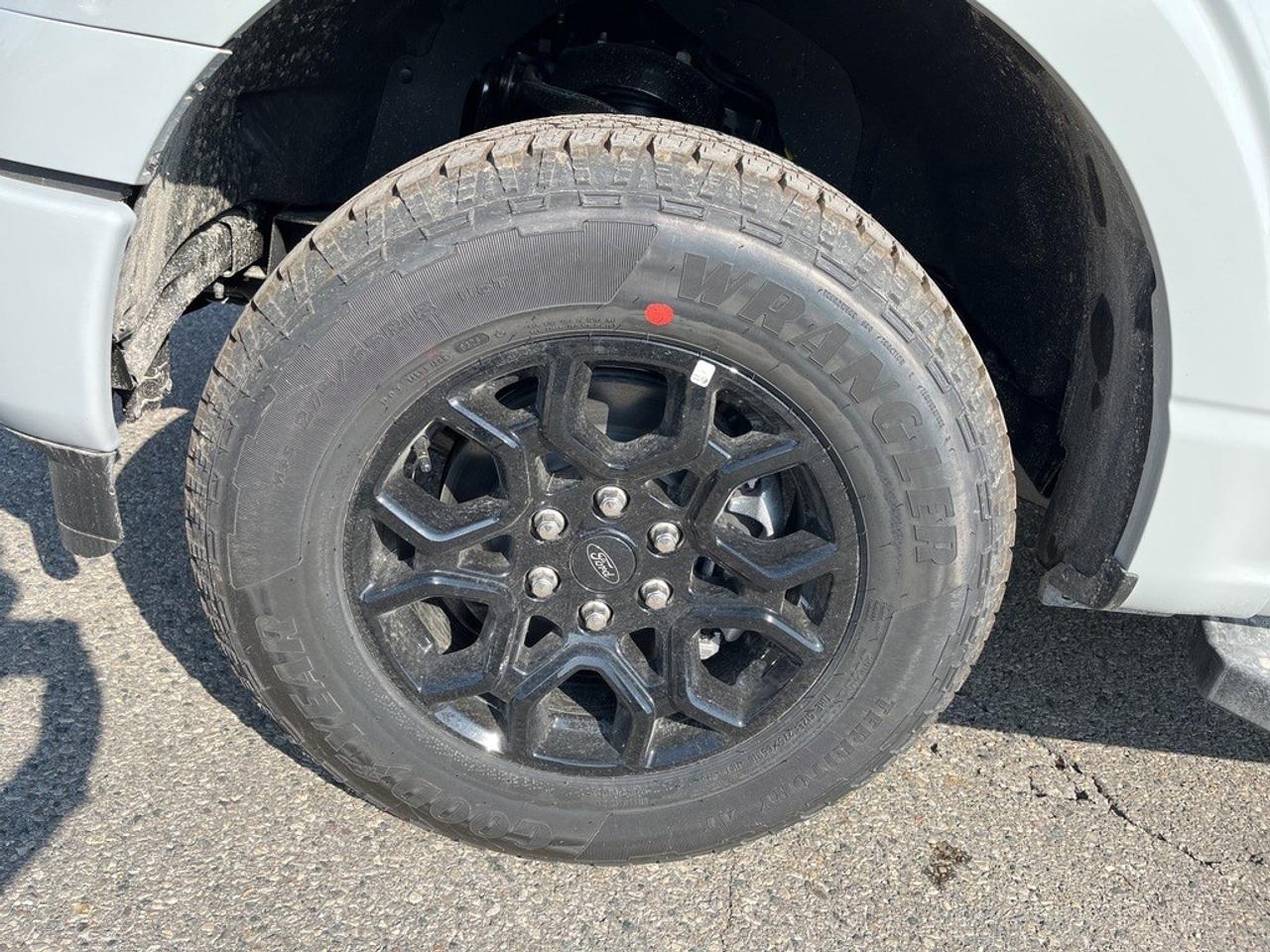 2026 Ford F-150 XLT 4WD SuperCrew 5.5' Box Photo