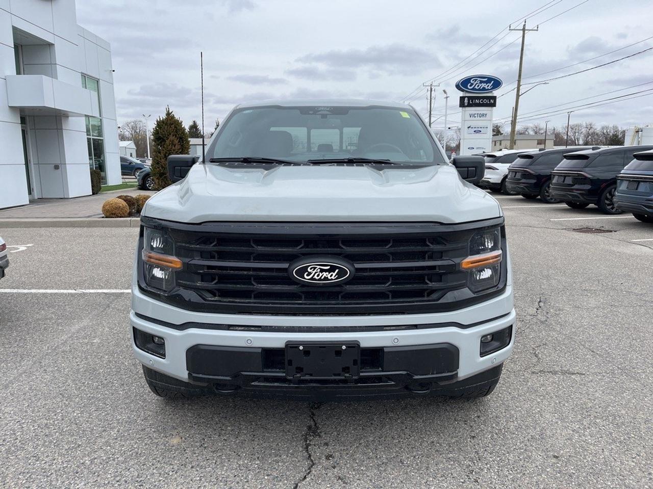 2026 Ford F-150 XLT 4WD SuperCrew 5.5' Box Photo