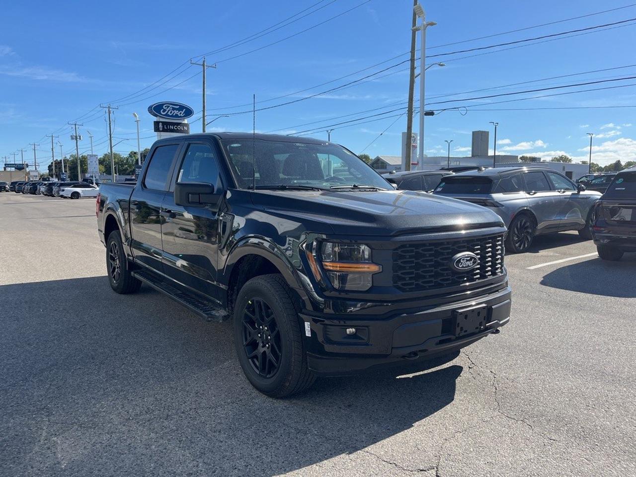 2025 Ford F-150 STX 4WD SuperCrew 5.5' Box Photo4