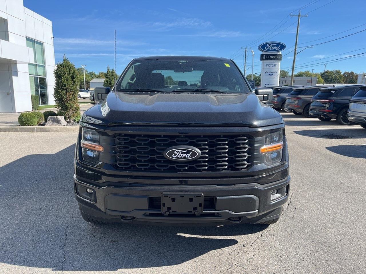 2025 Ford F-150 STX 4WD SuperCrew 5.5' Box Photo