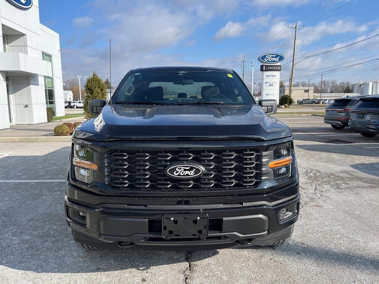 2025 Ford F-150 STX 4WD SuperCrew 5.5' Box Photo