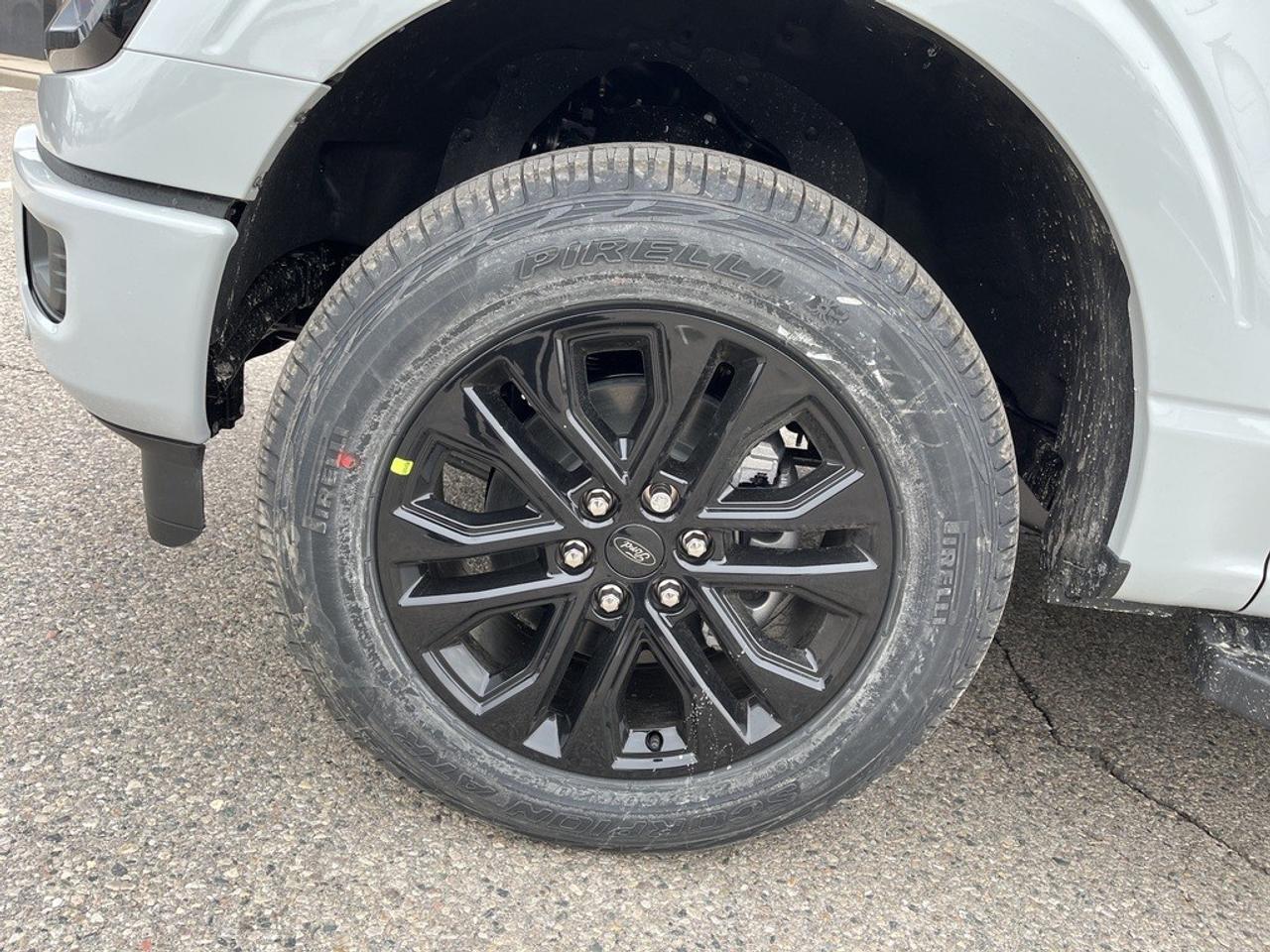 2026 Ford F-150 XLT 4WD SuperCrew 5.5' Box Photo