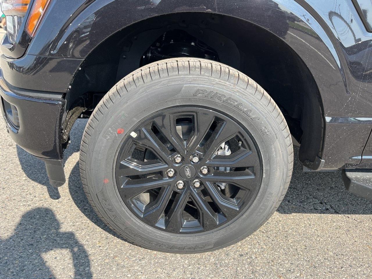 2026 Ford F-150 XLT 4WD SuperCrew 5.5' Box Photo