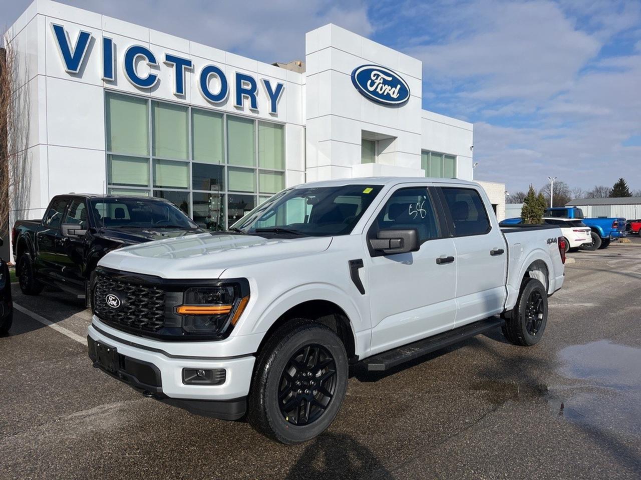 2025 Ford F-150 STX 4WD SuperCrew 5.5' Box Photo