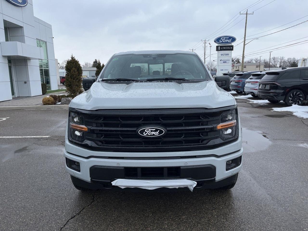 2026 Ford F-150 XLT 4WD SuperCrew 5.5' Box Photo