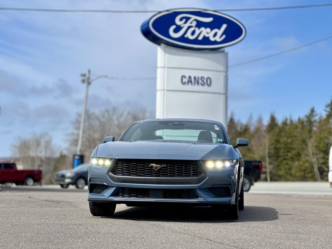 2026 Ford Mustang EcoBoost Premium Fastback Photo1