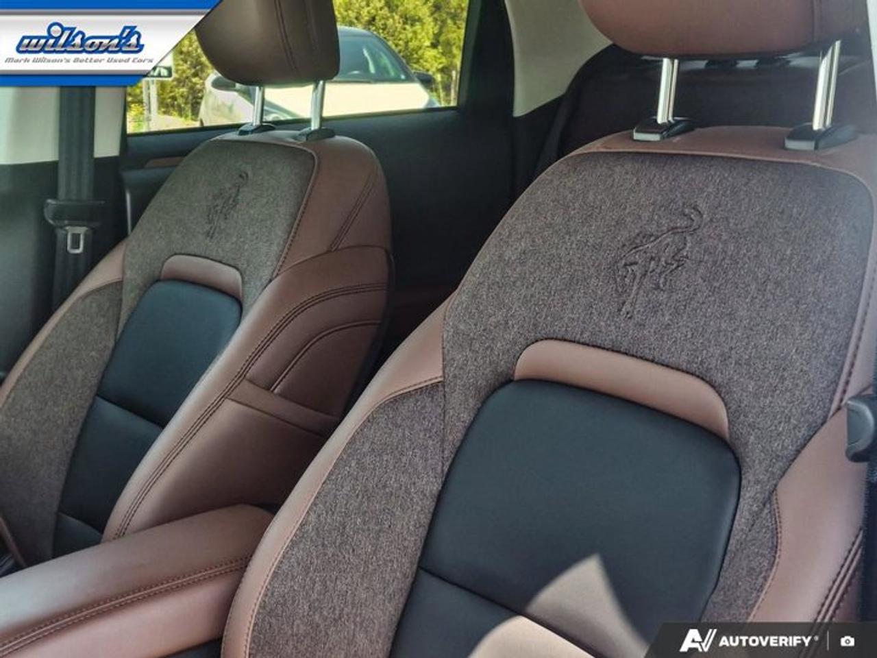 2025 Ford Bronco Sport Outer Banks AWD | Heated Seats | Remote Start | Power Seat | Carplay + Android Auto | and More ! Photo