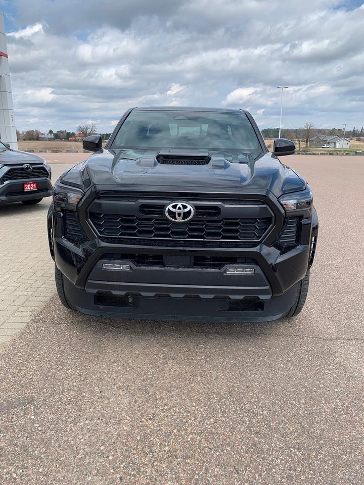 2025 Toyota Tacoma TRD Sport + Photo