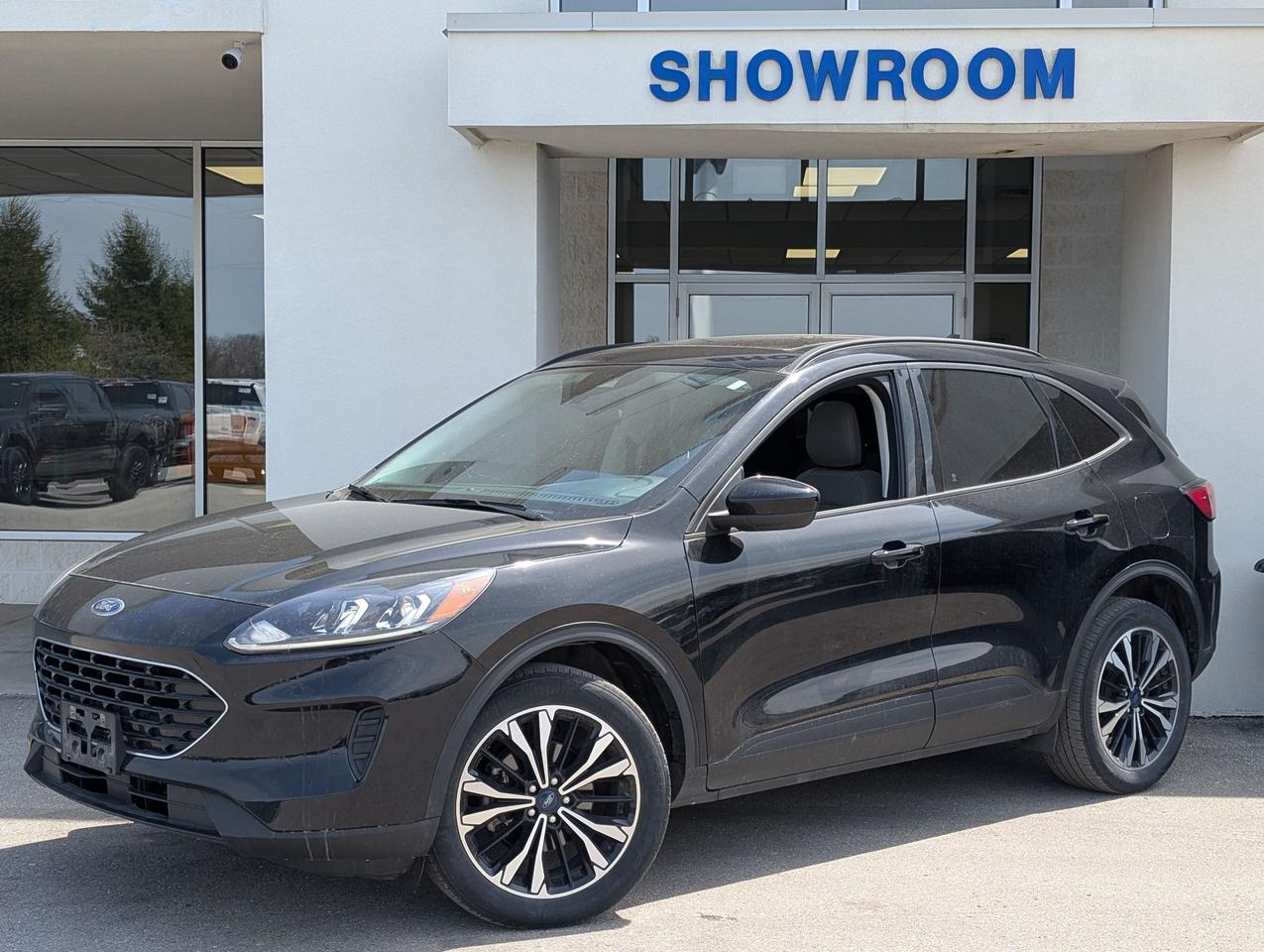 Used 2022 Ford Escape SE AWD for sale in Mount Brydges, ON