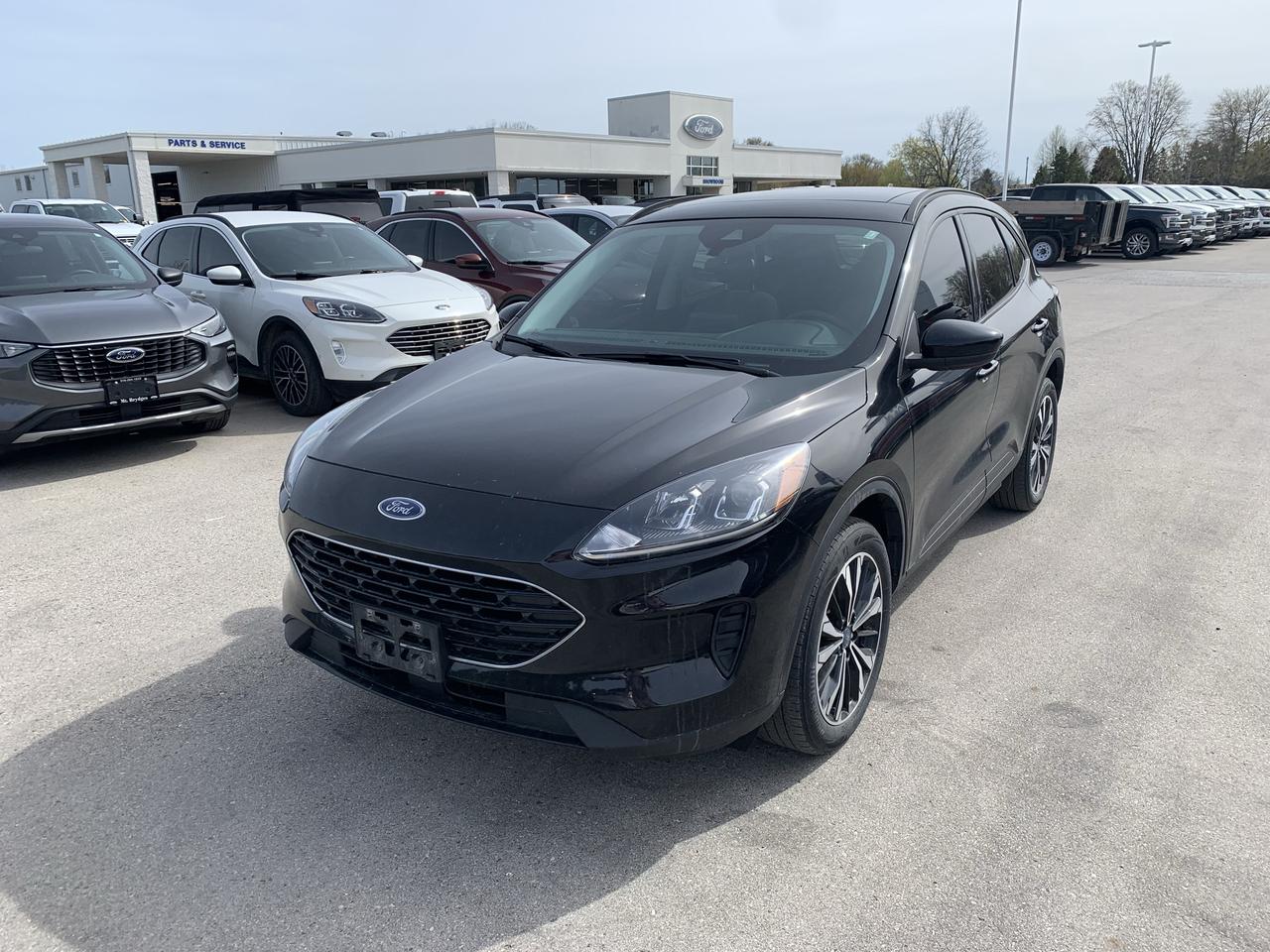 2022 Ford Escape SE AWD Photo