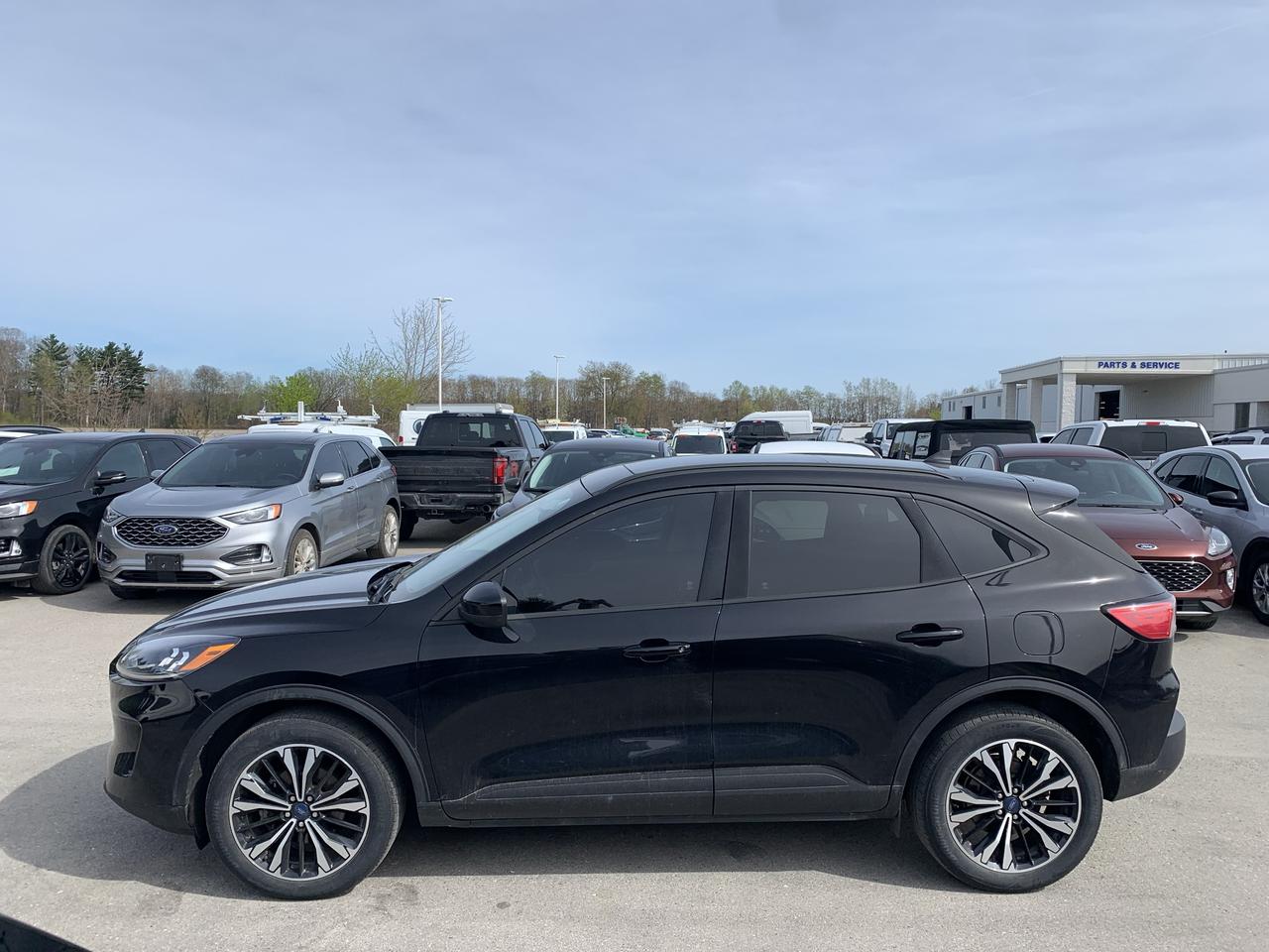 2022 Ford Escape SE AWD Photo